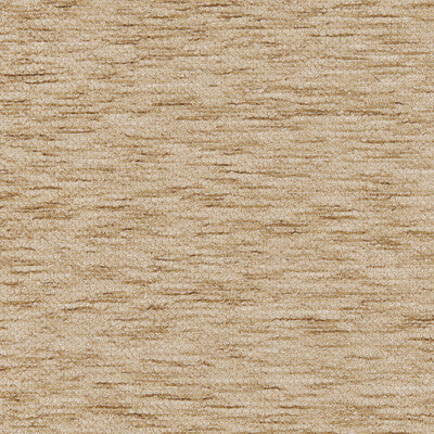 Kravet Basics - Multipurpose - 37265.1116.0 - Multipurpose - POLYESTER - 68%;COTTON - 32% - India </p><p>Repeat: H: , V: 27.5 21 - My Fabric Connection -