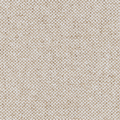 Kravet Basics - Multipurpose - 37267.1601.0 - Multipurpose - POLYESTER - 55%;COTTON - 45% - India </p><p>Repeat: H: , V: 27.5 21 - My Fabric Connection -