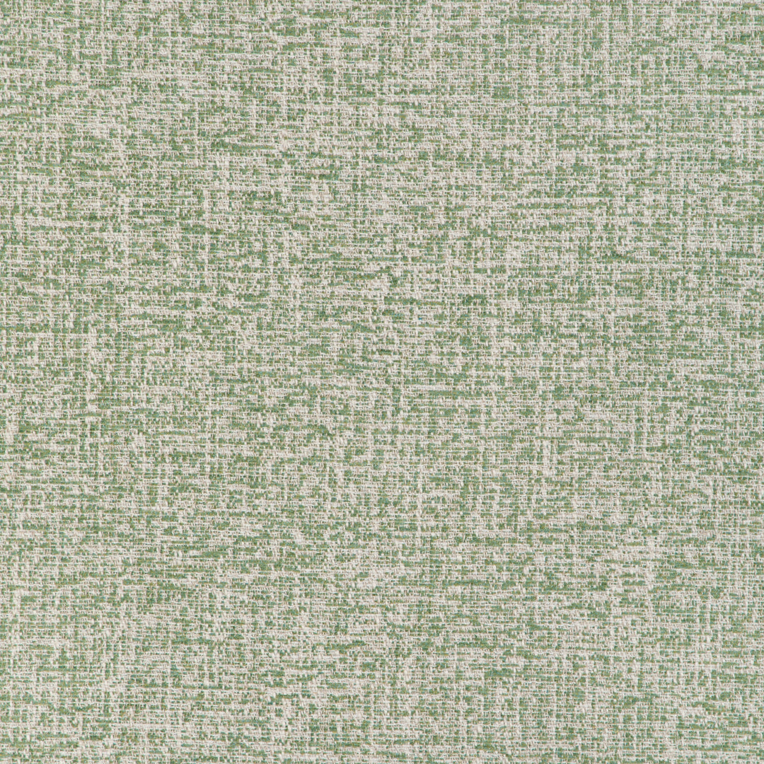 Kravet Basics Fabric Esteban - Leaf