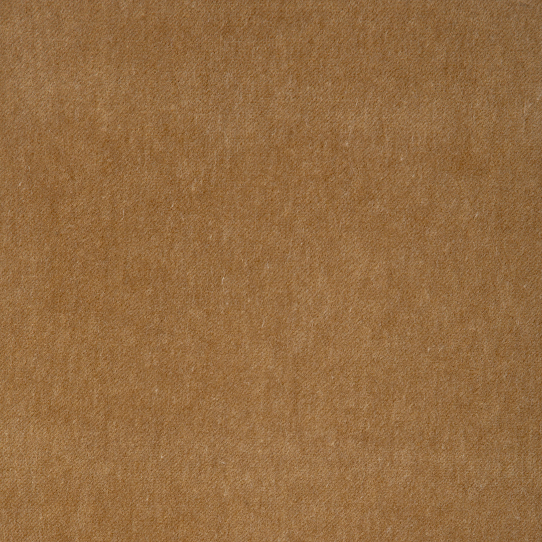 Kravet Contract Fabric Forza - Dandelion