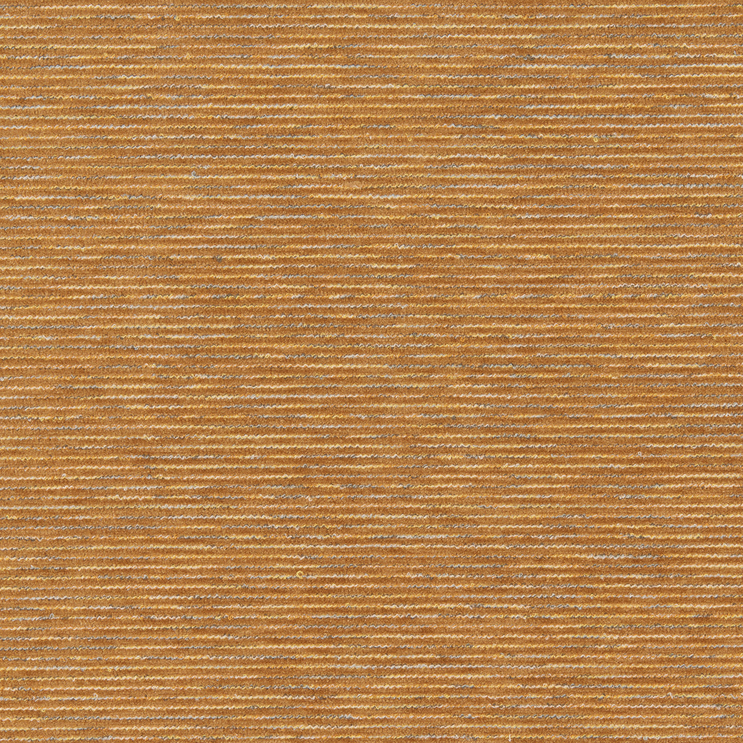 Kravet Contract Fabric Niko - Honey