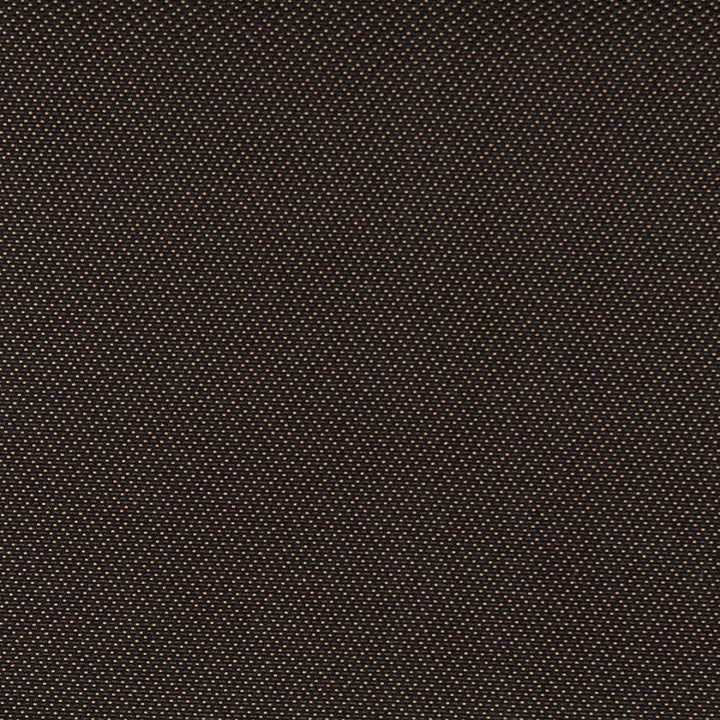 3741 Onyx by Charlotte Designer Fabric Decorative Durables XII & Ring Book Page 35A 52% Olefin, 48% Polyester Made In USA Exceeds 150,000 Wyzenbeek Rubs (Heavy Duty) Horizontal: .5" x Vertical: .5" 54 Inches - Swanky Fabrics -