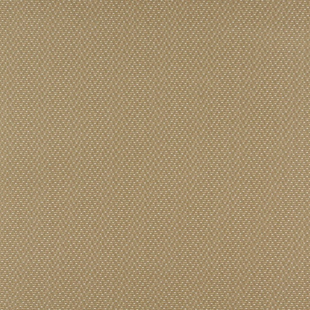 3743 Ecru by Charlotte Designer Fabric Decorative Durables XII & Ring Book Page 35A 52% Olefin, 48% Polyester Made In USA Exceeds 150,000 Wyzenbeek Rubs (Heavy Duty) </p><p>Repeat: Horizontal: .5" x Vertical: .5" 54 Inches - Swanky Fabrics -