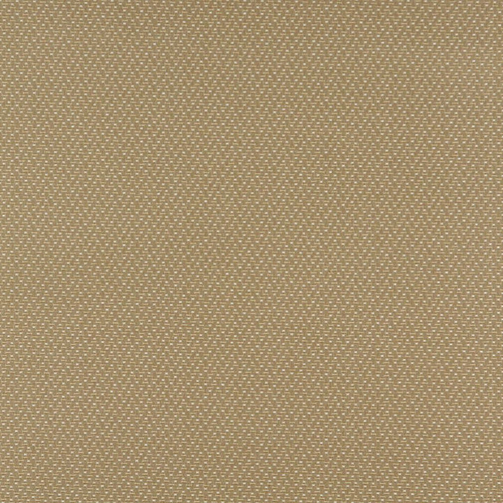 3743 Ecru by Charlotte Designer Fabric Decorative Durables XII & Ring Book Page 35A 52% Olefin, 48% Polyester Made In USA Exceeds 150,000 Wyzenbeek Rubs (Heavy Duty) Horizontal: .5" x Vertical: .5" 54 Inches - Swanky Fabrics -