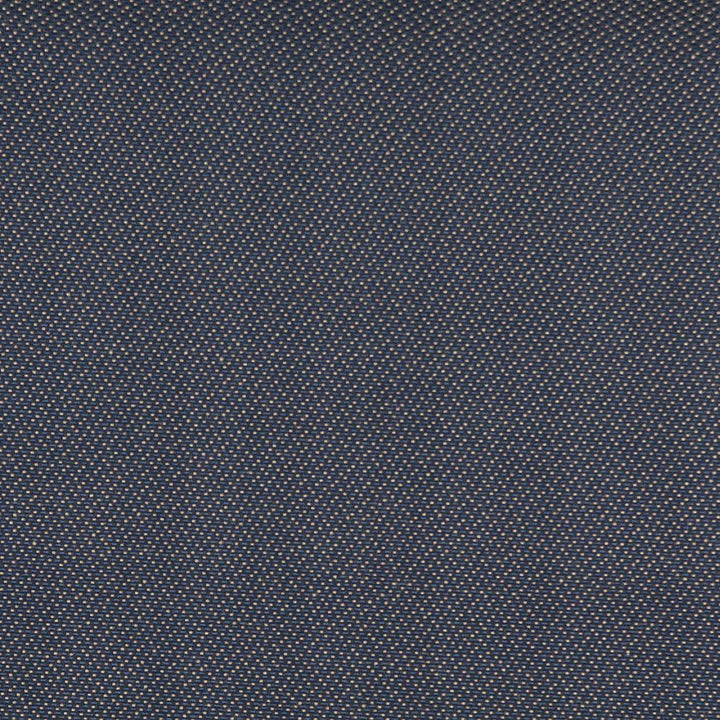 3744 Navy by Charlotte Designer Fabric Decorative Durables XII & Ring Book Page 35A 52% Olefin, 48% Polyester Made In USA Exceeds 150,000 Wyzenbeek Rubs (Heavy Duty) Horizontal: .5" x Vertical: .5" 54 Inches - Swanky Fabrics -