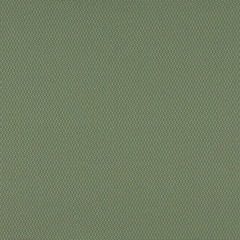 3745 Meadow by Charlotte Designer Fabric Decorative Durables XII & Ring Book Page 35A 52% Olefin, 48% Polyester Made In USA Exceeds 150,000 Wyzenbeek Rubs (Heavy Duty) Horizontal: .5" x Vertical: .5" 54 Inches - Swanky Fabrics -