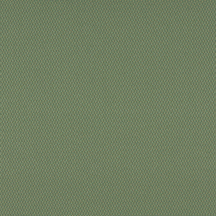 3745 Meadow by Charlotte Designer Fabric Decorative Durables XII & Ring Book Page 35A 52% Olefin, 48% Polyester Made In USA Exceeds 150,000 Wyzenbeek Rubs (Heavy Duty) Horizontal: .5" x Vertical: .5" 54 Inches - Swanky Fabrics -