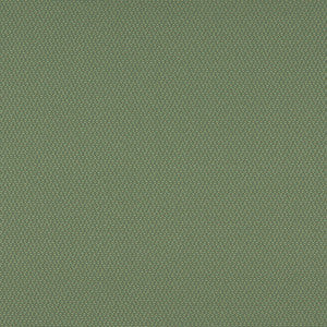Charlotte Fabric 3745 Meadow