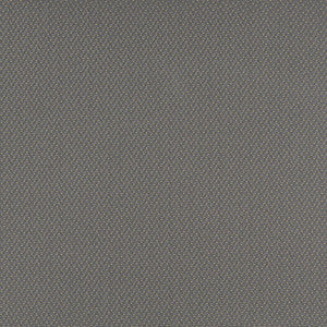 Charlotte Fabric 3746 Pewter