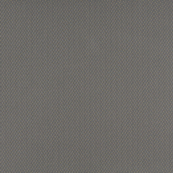 3746 Pewter by Charlotte Designer Fabric Decorative Durables XII & Ring Book Page 35A 52% Olefin, 48% Polyester Made In USA Exceeds 150,000 Wyzenbeek Rubs (Heavy Duty) </p><p>Repeat: Horizontal: .5" x Vertical: .5" 54 Inches - Swanky Fabrics -