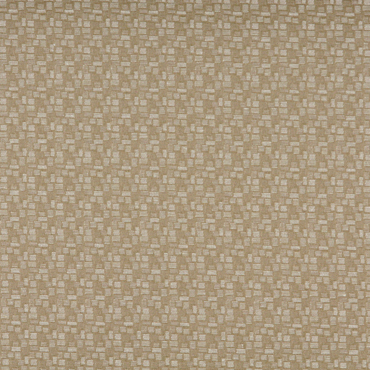 3751 Shell by Charlotte Designer Fabric Decorative Durables XII 45% Cotton, 44% Polyester, 11% Acrylic Made In USA Exceeds 150,000 Wyzenbeek Rubs (Heavy Duty) Horizontal: 3.25" x Vertical: 1.25" 54 Inches - Swanky Fabrics -