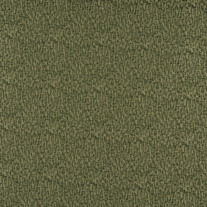 Charlotte Fabric 3765 Avocado