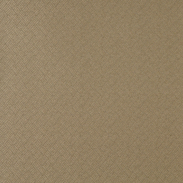 3774 Sand by Charlotte Designer Fabric Decorative Durables XI 55% Polyester, 45% Olefin Made In USA Exceeds 150,000 Wyzenbeek Rubs (Heavy Duty) </p><p>Repeat: Horizontal: 1.75" x Vertical: 1.5" 54 Inches - Swanky Fabrics -