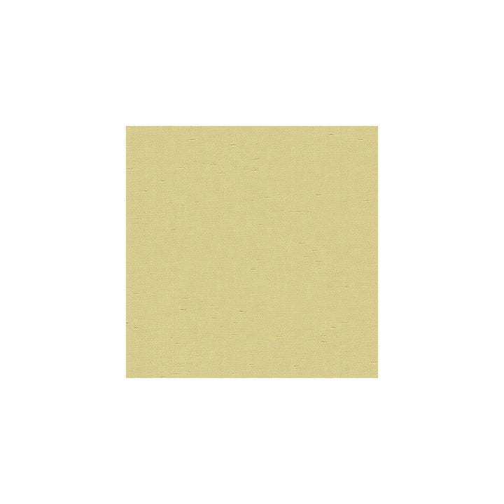 3777-116 by Kravet Basics Designer Fabric POLYESTER - 100% India HEAVY Horizontal: and Vertical: 54 - Swanky Fabrics -
