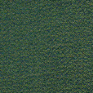 Charlotte Fabric 3778 Juniper