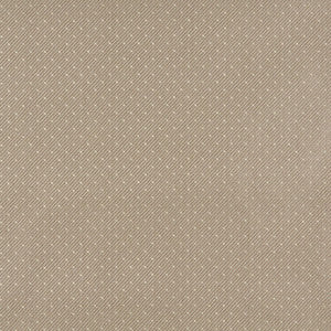 Charlotte Fabric 3805 Beach