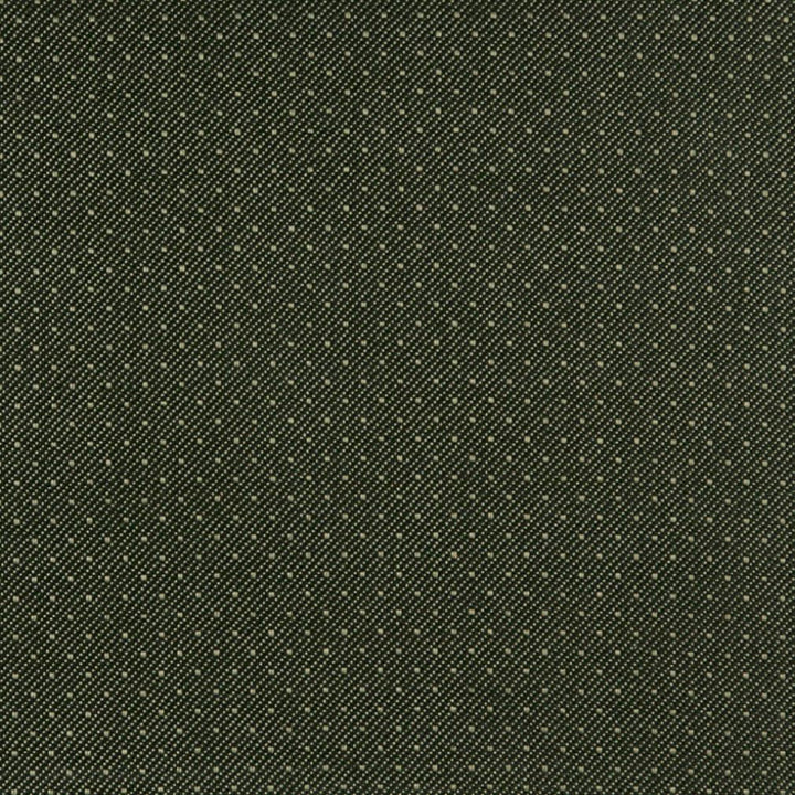 3806 Moss by Charlotte Designer Fabric Decorative Durables XI 100% Olefin Made In USA Exceeds 150,000 Wyzenbeek Rubs (Heavy Duty) Horizontal: .5" x Vertical: .5" 54 Inches - Swanky Fabrics -