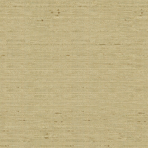 3807.1616 by Kravet Basics Designer Fabric in our sample Polyester 100% India See Sample Horizontal: See Sample and Vertical: See Sample 54 inches - Swanky Fabrics -