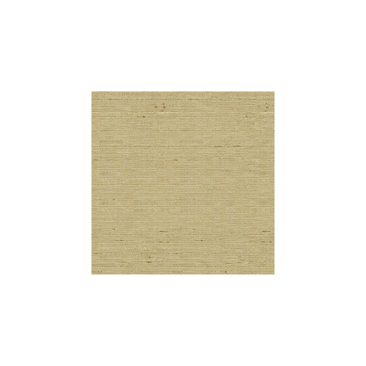 Kravet Basics 3807-1616 by Kravet Basics Fabric Kravet Basics Fabric Kravet Basics 3807-1616Fabric POLYESTER - 100% India </p><p>Repeat: H: , V: 54 - Fabric Carolina -