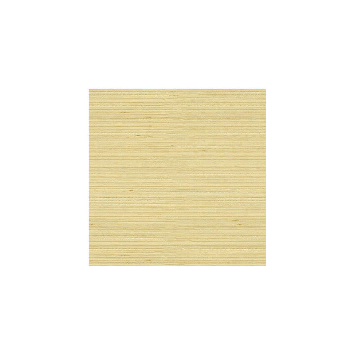 3808-1116 by Kravet Basics Designer Fabric POLYESTER - 100% India Horizontal: and Vertical: 54 - Swanky Fabrics -
