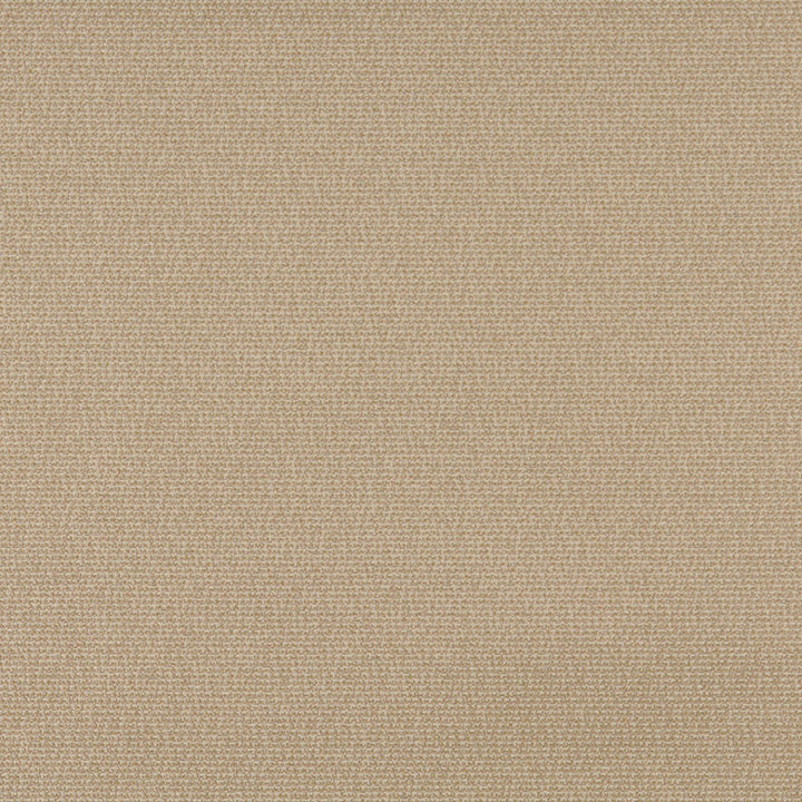 3821 Wheat by Charlotte Designer Fabric Decorative Durables XI 69% Olefin, 31% Polyester Made In USA Exceeds 150,000 Wyzenbeek Rubs (Heavy Duty) </p><p>Repeat: 54 Inches - Swanky Fabrics -