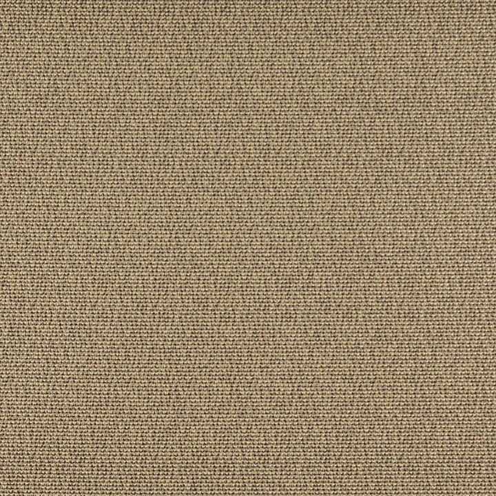 3827 Truffle by Charlotte Designer Fabric Decorative Durables XI 69% Olefin, 31% Polyester Made In USA Exceeds 150,000 Wyzenbeek Rubs (Heavy Duty) No Repeat 54 Inches - Swanky Fabrics -
