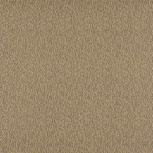 Charlotte Fabric 3827 Truffle
