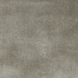 Charlotte Fabric 3862 Pewter