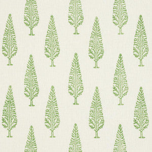 Schumacher Fabric Juniper Block Print Green 178511