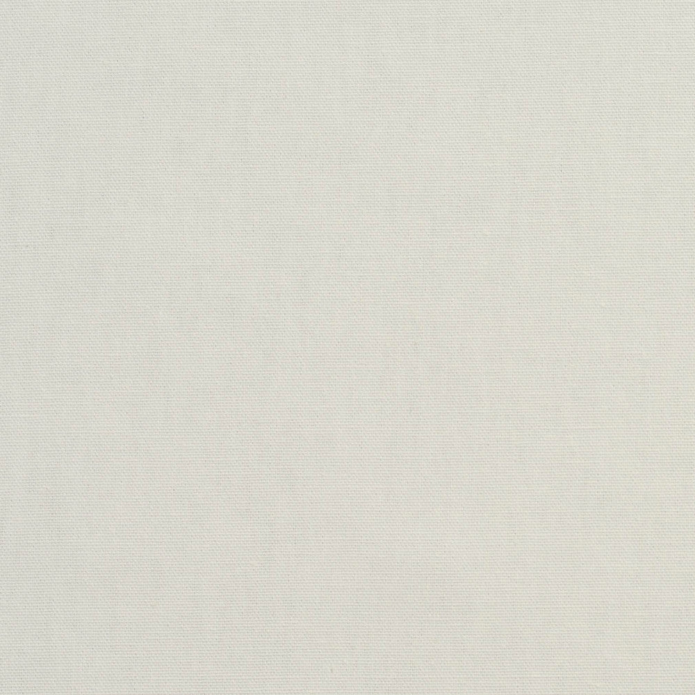 3880 Charcoal by Charlotte Designer Fabric Cotton Duck 100% Cotton 12 oz. Preshrunk Canvas Duck Made In USA Exceeds 60,000 Wyzenbeek Rubs (Heavy Duty) No Repeat 54 Inches - Swanky Fabrics -