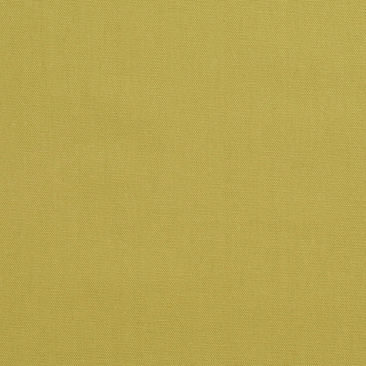 3890 Pear by Charlotte Designer Fabric Cotton Duck 100% Cotton 12 oz. Preshrunk Canvas Duck Made In USA Exceeds 60,000 Wyzenbeek Rubs (Heavy Duty) No Repeat 54 Inches - Swanky Fabrics -