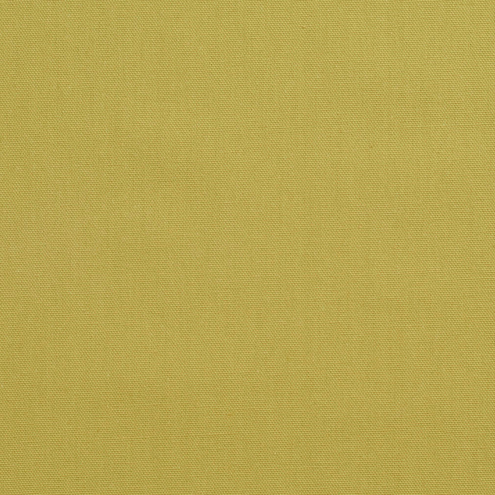 3890 Pear by Charlotte Designer Fabric Cotton Duck 100% Cotton 12 oz. Preshrunk Canvas Duck Made In USA Exceeds 60,000 Wyzenbeek Rubs (Heavy Duty) No Repeat 54 Inches - Swanky Fabrics -