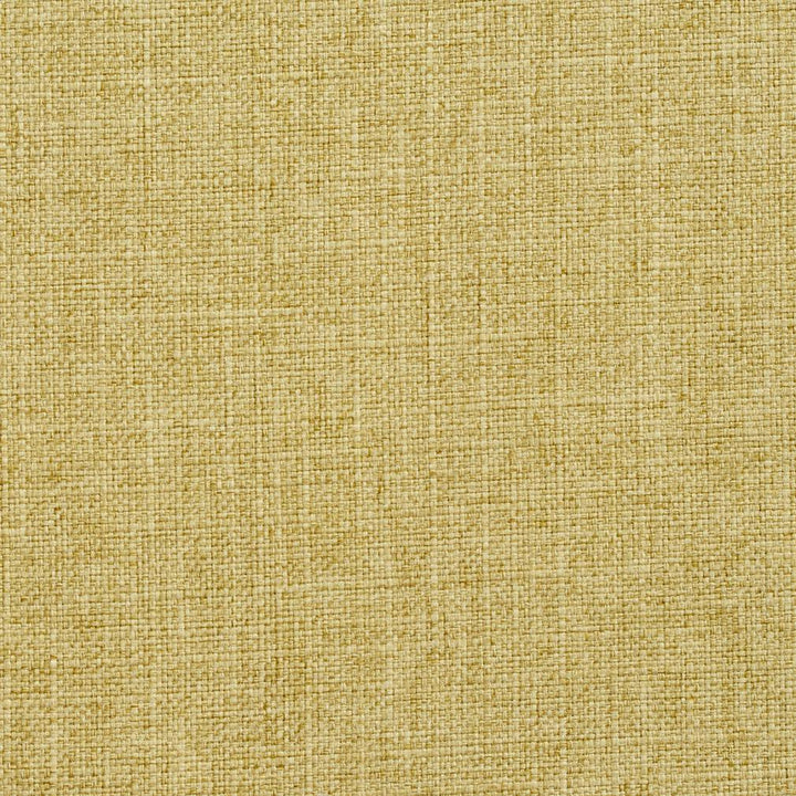 3904 Citrus by Charlotte Designer Fabric Textures Vol. 2 100% Woven Polyester Asia Exceeds 120,000 Wyzenbeek Rubs (Heavy Duty) </p><p>Repeat: 54 Inches - Swanky Fabrics -