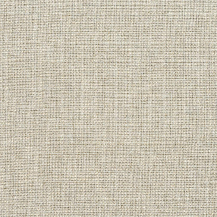 3906 Sand by Charlotte Designer Fabric Textures Vol. 2 100% Woven Polyester Asia Exceeds 120,000 Wyzenbeek Rubs (Heavy Duty) No Repeat 54 Inches - Swanky Fabrics -