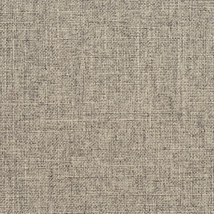 3907 Pebble by Charlotte Designer Fabric Textures Vol. 2 100% Woven Polyester Asia Exceeds 120,000 Wyzenbeek Rubs (Heavy Duty) No Repeat 54 Inches - Swanky Fabrics -