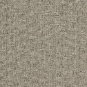 Charlotte Fabric 3911 Pewter
