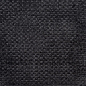 Charlotte Fabric 3913 Onyx