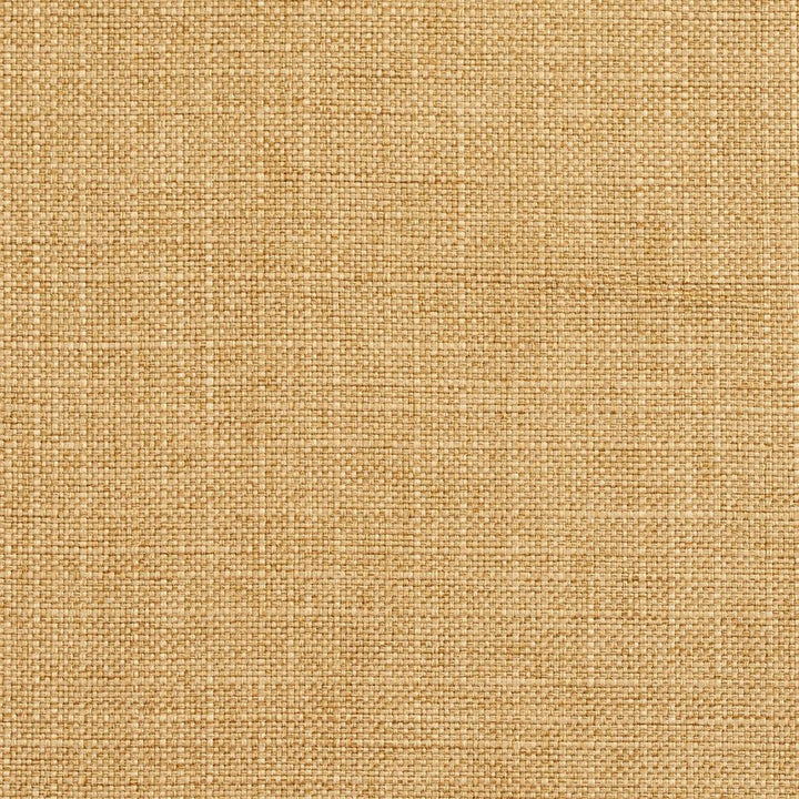 3921 Honey by Charlotte Designer Fabric Textures Vol. 2 100% Woven Polyester Asia Exceeds 120,000 Wyzenbeek Rubs (Heavy Duty) </p><p>Repeat: 54 Inches - Swanky Fabrics -
