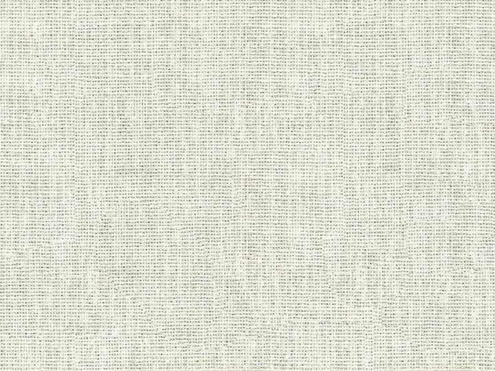 3922.11 by Kravet Basics Designer Fabric   Polyester 97%, Nylon 3% Turkey - H: -, V: - 59 inches  - Swanky Fabrics -  Kravet Basics