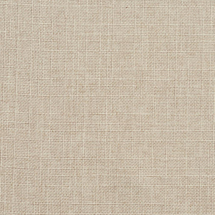 3925 Flax by Charlotte Designer Fabric Textures Vol. 2 100% Woven Polyester Asia Exceeds 120,000 Wyzenbeek Rubs (Heavy Duty) No Repeat 54 Inches - Swanky Fabrics -