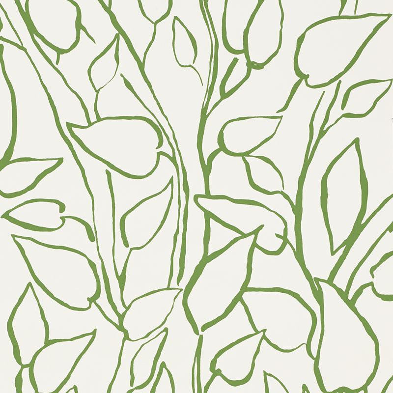 Solandra Vine Leaf 5010070 by Schumacher Designer Wallpaper Freehand 26.75" - Swanky Fabrics -