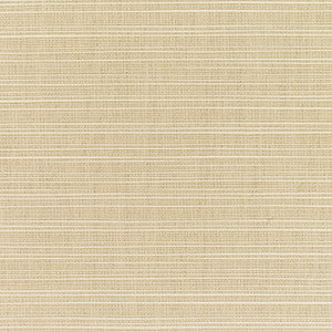 Sunbrella Fabric 8011 77 Rain Dupione Sand