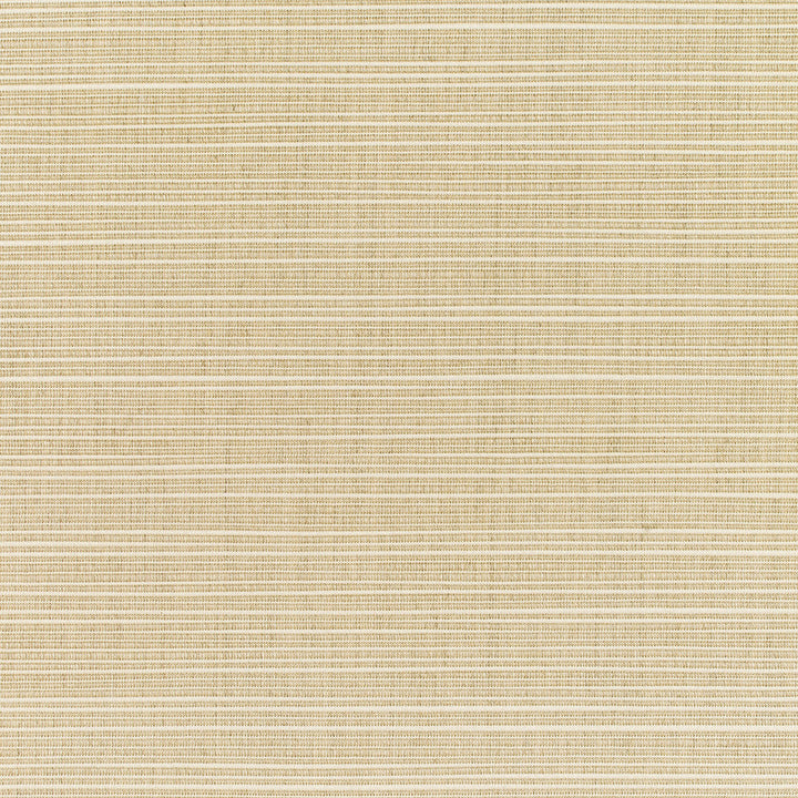 8011 77 Rain Dupione Sand by Sunbrella Designer Fabric Sunbrella Rain 100% SunbrellaÂ® Acrylic USA or Imported 5-Year Horizontal: and Vertical: 60 yd. 54 in. - Swanky Fabrics -