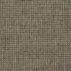 Charlotte Fabric 4005 Aloe
