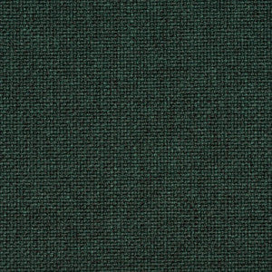 Charlotte Fabric 4010 Hunter