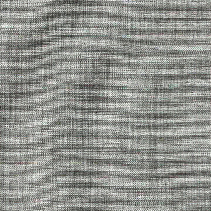 Flashback Mineral 404410 by PKL Studio Designer Fabric - 65% POLYESTER 35% COTTON India 51000 Horizontal: N/A and Vertical: N/A 54 - Swanky Fabrics -