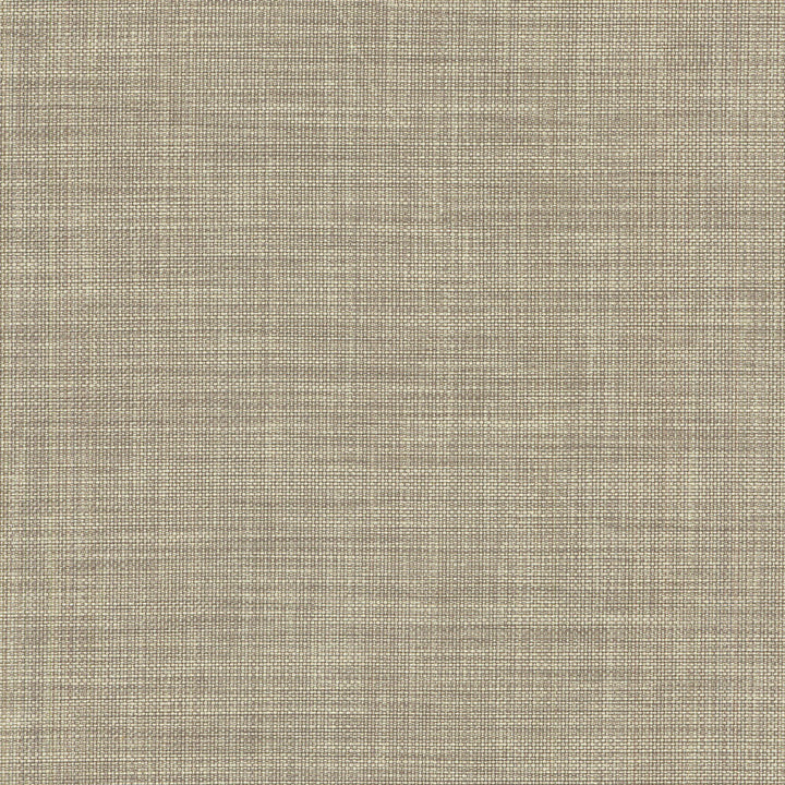 Flashback Mica 404417 by PKL Studio Designer Fabric PKL STUDIO DEC'15 65% Polyester 35% Cotton INDIA Wyzenbeek 51,000 Horizontal: 0.00" and Vertical: 0.00" 54" - Swanky Fabrics -