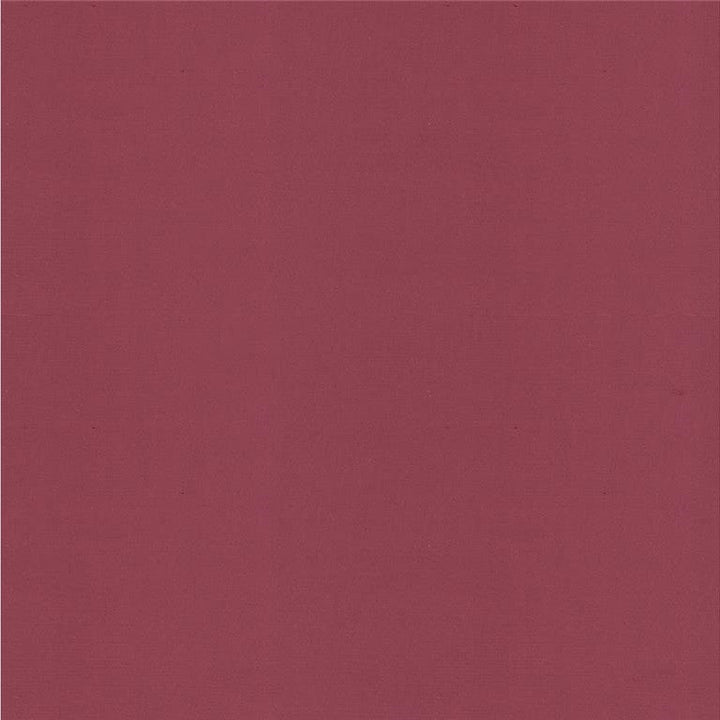 4070.101 by Kravet Design Designer Fabric - Silk 100% India - H" -, V: - 53.5 inches  - Swanky Fabrics -  Kravet Design