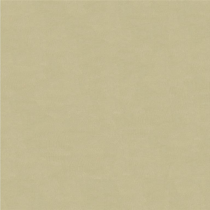 4070.11 by Kravet Design Designer Fabric in our sample Silk 100% India See Sample Horizontal: See Sample and Vertical: See Sample 53.5 inches - Swanky Fabrics -