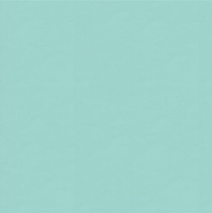 4070.1115 by Kravet Design Designer Fabric our website for purchase Silk 100% India see sample Horizontal: see sample and Vertical: see sample 53.5 inches - Swanky Fabrics -